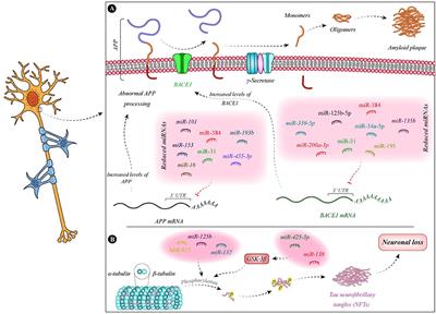 The Eminent Role of microRNAs in the Pathogenesis of Alzheimer's Disease